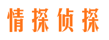 雄县情探私家侦探公司